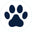 Paw