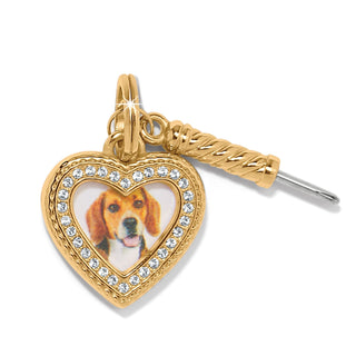 Brighton gold heart-shaped photo charm with crystal border featuring beagle dog image