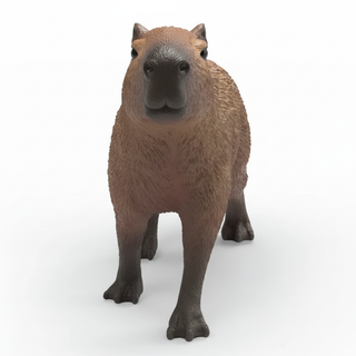 Capybara Front View