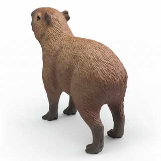 Capybara Rear View