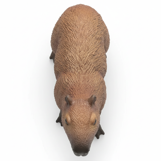 Capybara Top View