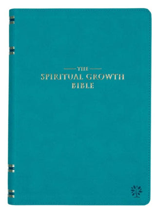 Christian Art Gifts Adult Books Spiritual Growth Bible