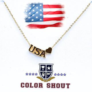 Color Shout Women's Necklaces USA Gold Heart Necklace