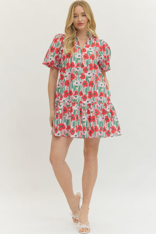 Entro Women’s Dresses Pretty in Poppies Dress