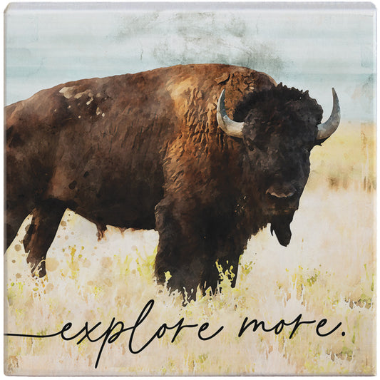 Explore More Bison