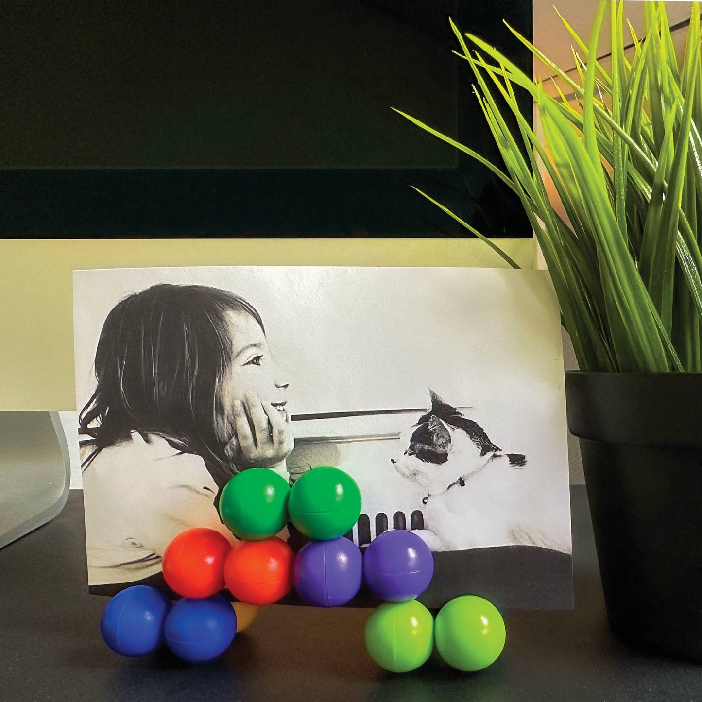 RAINBOW TWIST TOY   12/BOX