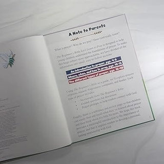 Harper Collins Children's Books Begginner's Bible Let's Learn to Pray