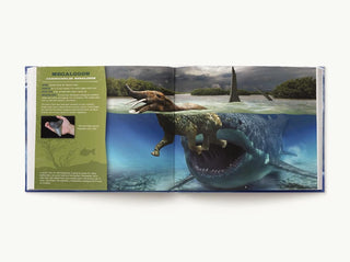 Harper Collins Children’s Books Discovering Sharks