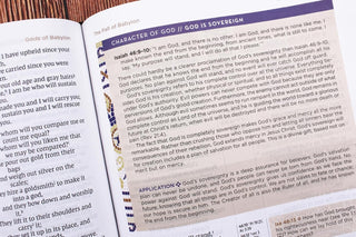 Harper Collins Adult Books NIV Application Bible