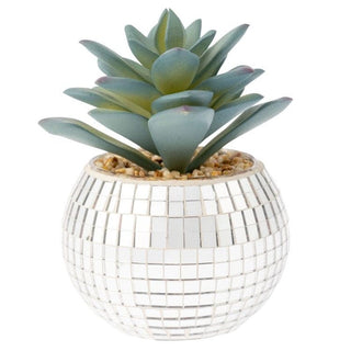 Karma Home Decor Disco Succulent Pot