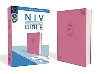NIV Value Thinline Bible – The Blessed Nest