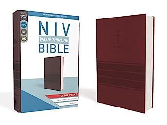 NIV Value Thinline Bible Large Print