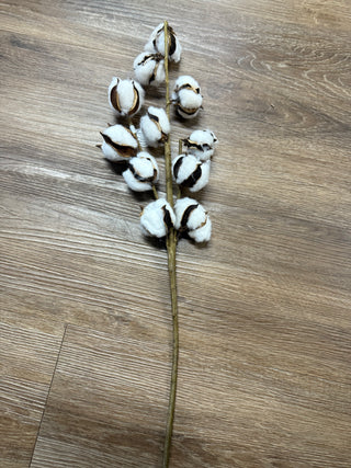 Regency Home Decor Cotton Stem Pick