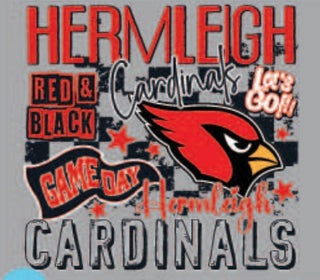 Spirit to a Tee Unisex Tees Small / Cardinals Team Spirit Tee