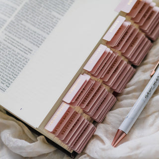 The Daily Grace Co Stationary Blush Bible Tabs
