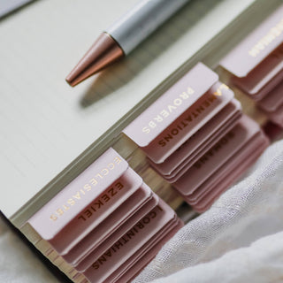 The Daily Grace Co Stationary Blush Bible Tabs