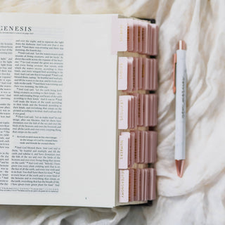 The Daily Grace Co Stationary Blush Bible Tabs