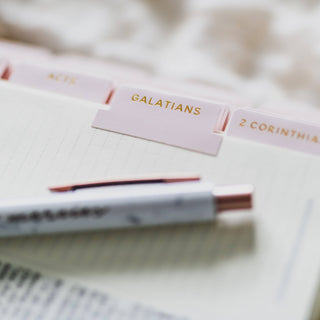 The Daily Grace Co Stationary Blush Bible Tabs