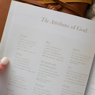 The Daily Grace Co Adult Books It Is Well | Anxiety Study