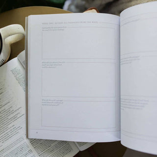 The Daily Grace Co Adult Books Peace for the Anxious Heart Study