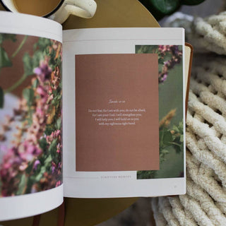 The Daily Grace Co Adult Books Peace for the Anxious Heart Study
