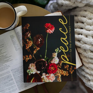 The Daily Grace Co Adult Books Peace for the Anxious Heart Study
