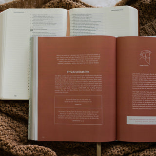 The Daily Grace Co Adult Books The Bible Study Handbook