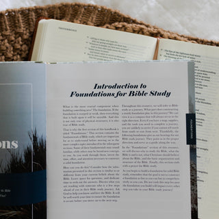 The Daily Grace Co Adult Books The Bible Study Handbook