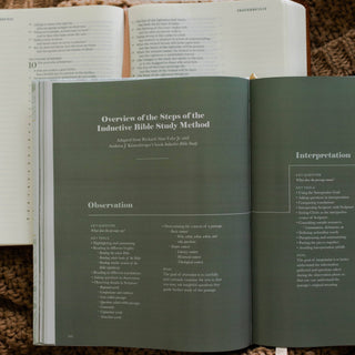 The Daily Grace Co Adult Books The Bible Study Handbook