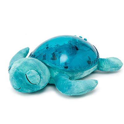 Tranquil Turtle