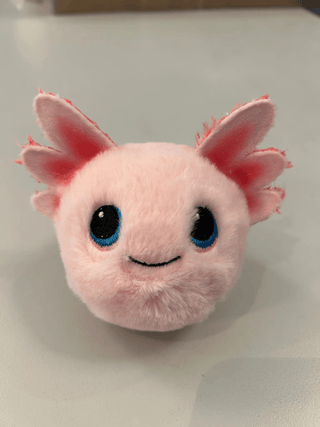 Ty Stuffed Animals Gill Ty Beanie Bouncers