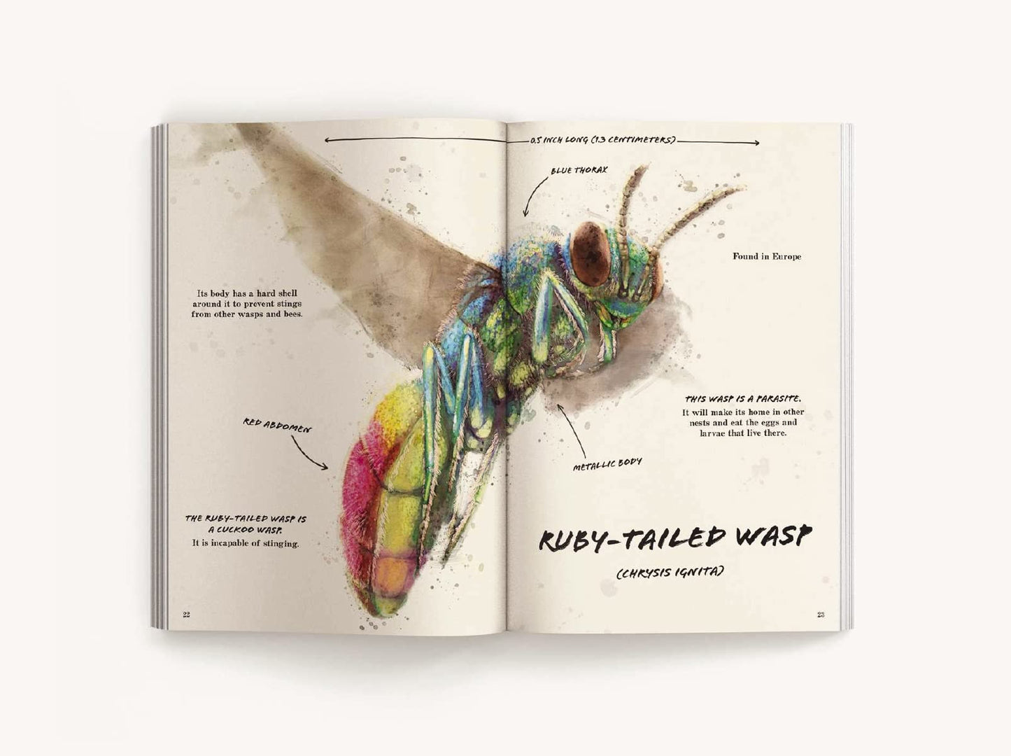 The Ultimate Bug Field Guide