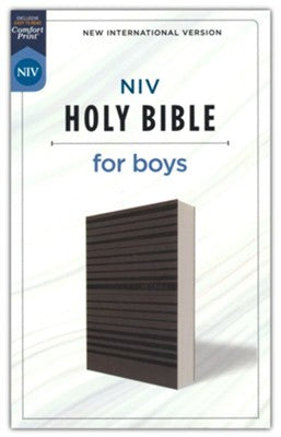 NIV Holy Bible for Boys