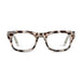 Gray Tortoise/Olive