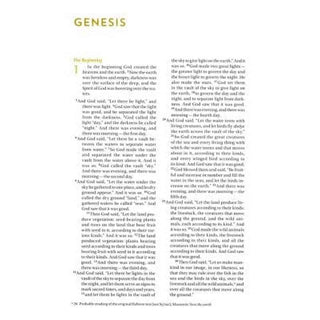 NIV Bible for Teen Guys