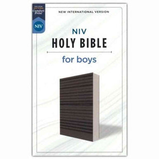 NIV Holy Bible for Boys