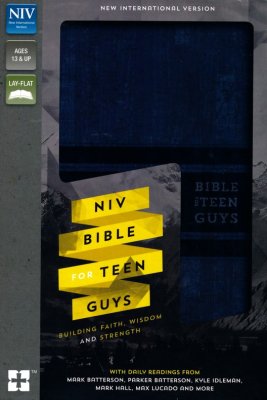 NIV Bible for Teen Guys