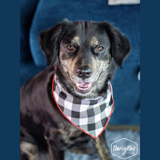 Pet Gingham Bandana
