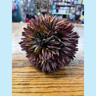 Plant Ball