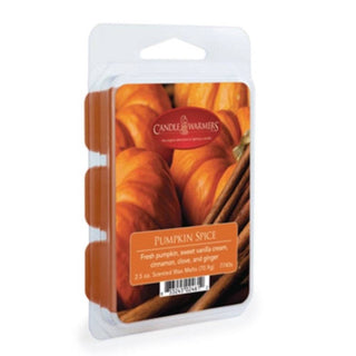 Pumpkin Spice soy wax melts in clear clamshell packaging with orange-brown label and cinnamon stick styling