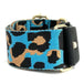 Bright Blue Leopard