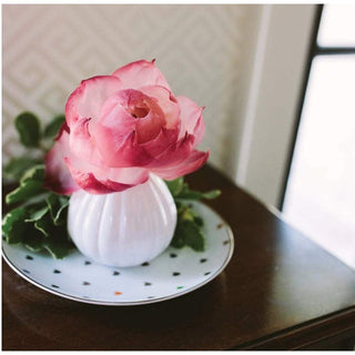 Pink gradient rose flower diffuser on white dotted plate with green foliage and wooden surface