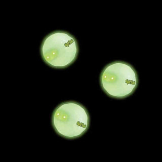 Glowing greenish-yellow Tangle NightBat night baseballs showing bright LED illumination