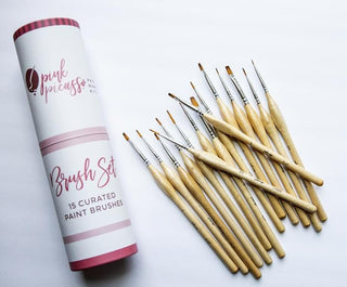 Pink Picasso Brush Kit