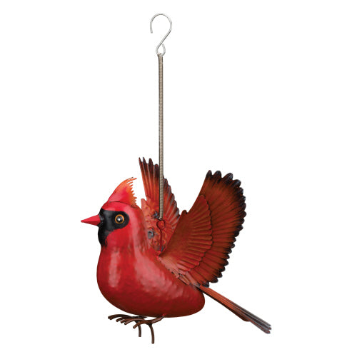 Cardinal bird bouncie