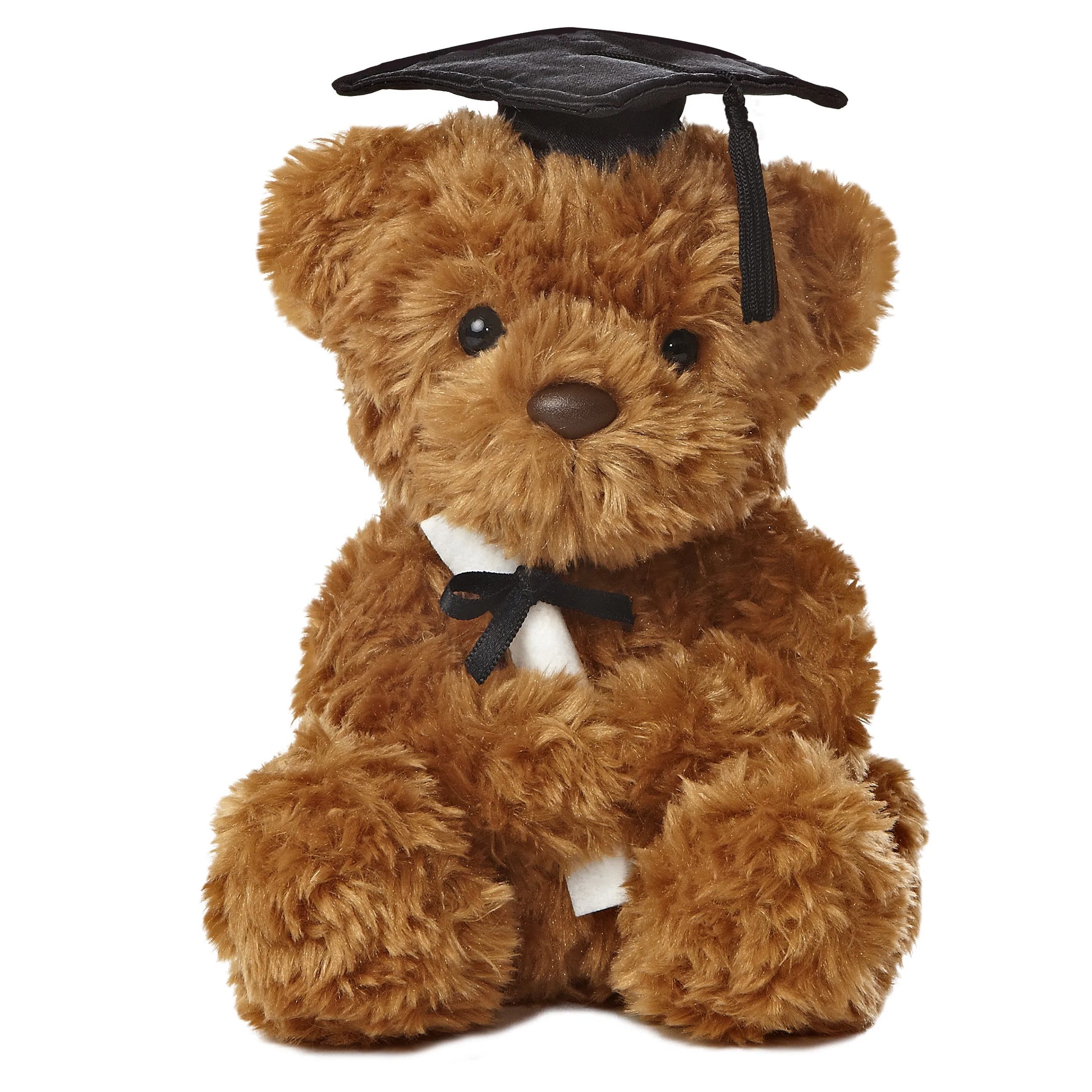 Graduation Bear