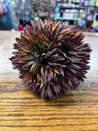 Plant Ball