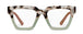 Chai Tortoise/Green