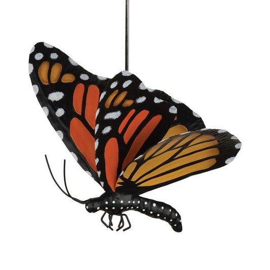 monarch butterfly bouncie