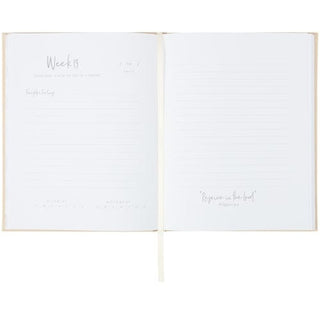 my little blessing pregnancy journal